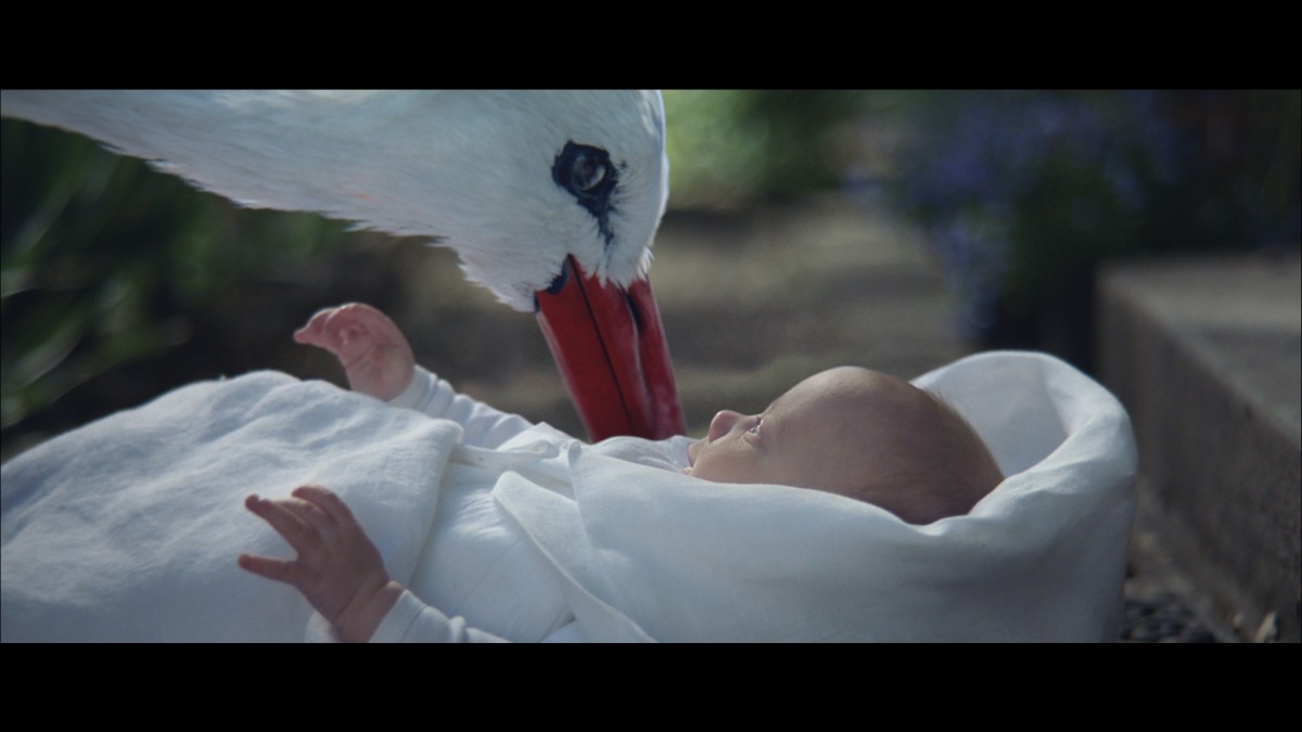 New 500L adv campaign %22The Stork%22 - 3