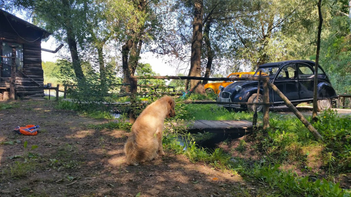 auto magazin srbija Citroën 2CV6 Special spaki spale ognjen đerić