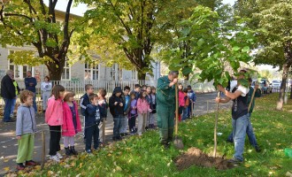 FAS ozelenjava dvorišta kragujevačkih škola