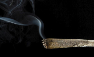 Legalizacija marihuane udvostručila broj sudara