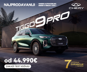 300×250 tiggo 9