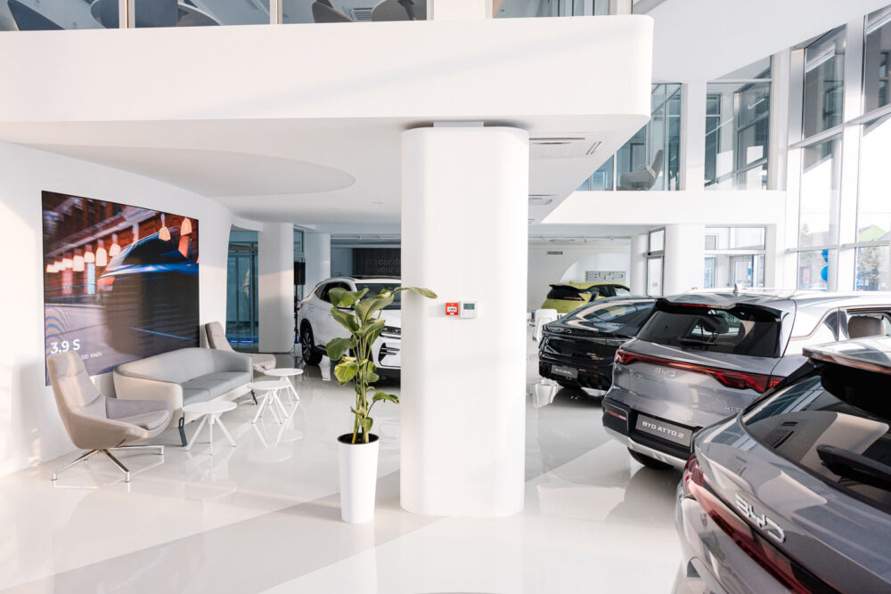 BYD Novi Sad